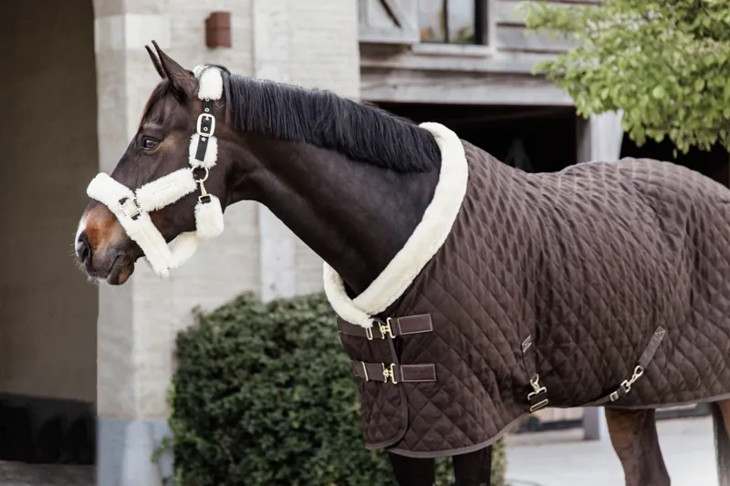 Kentucky Horsewear Show Rug Brown